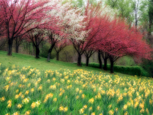 6532 (a): :1600x1200